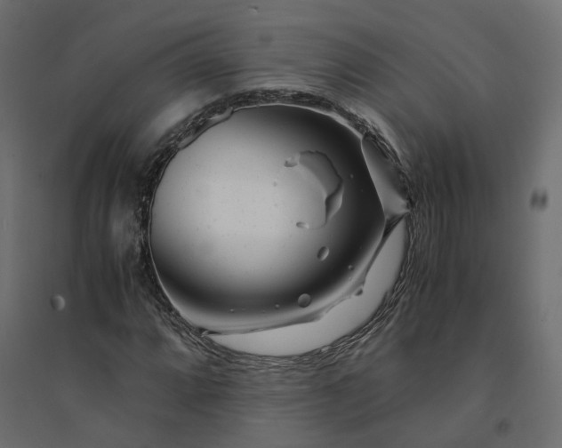 X0000094431064200711211427
