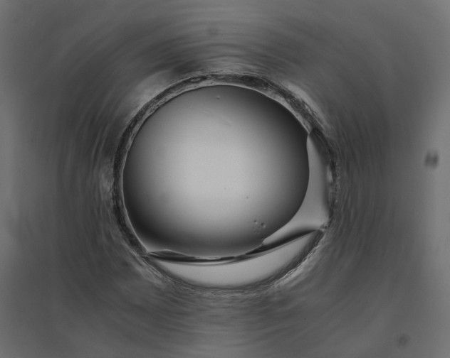 X0000094431065200711211427