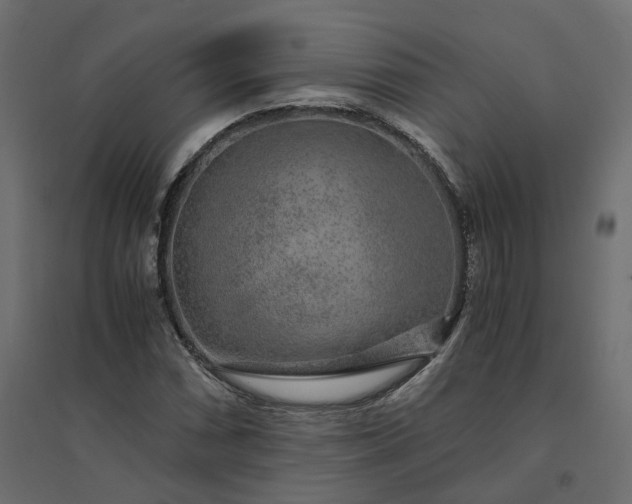 X0000094431066200711211427