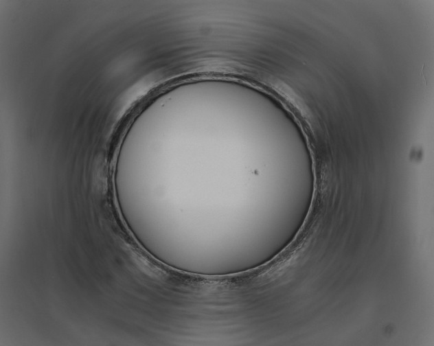 X0000094431067200711211427