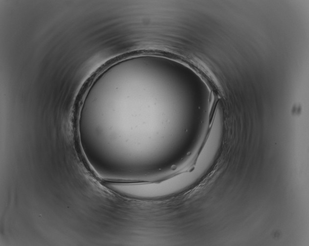 X0000094431068200711211427