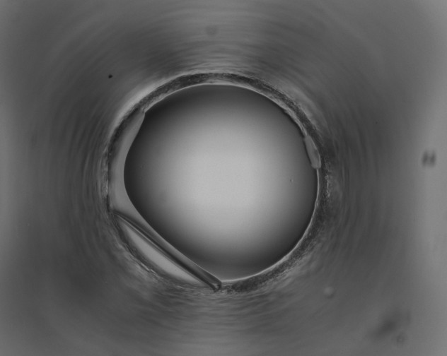X0000094431069200711211427