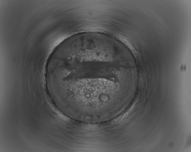 X0000094431071200711211427