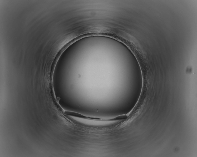 X0000094431073200711211427
