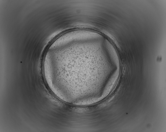 X0000094431074200711211427