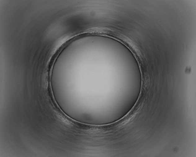 X0000094431075200711211427