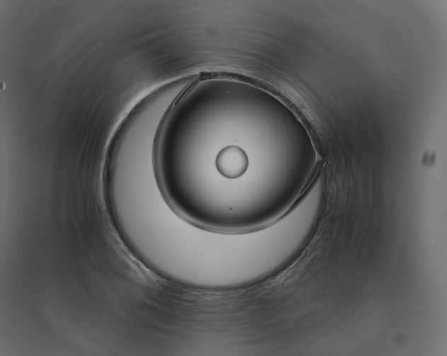 X0000094431076200711211427