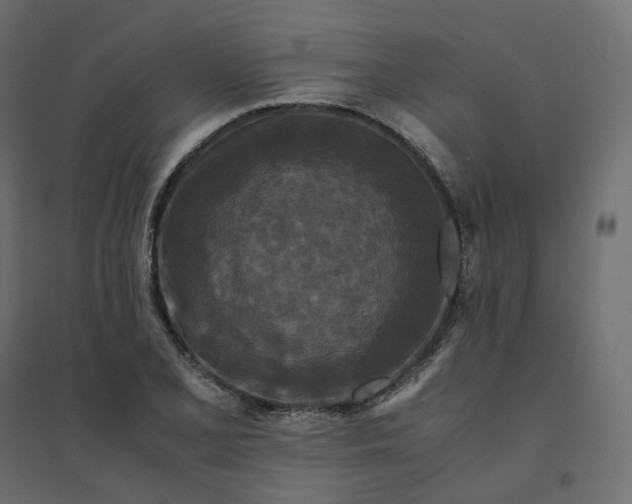 X0000094431077200711211427