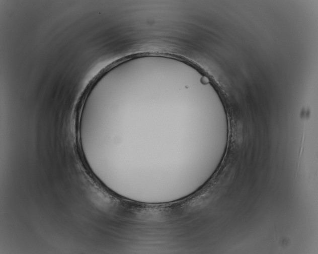 X0000094431078200711211427