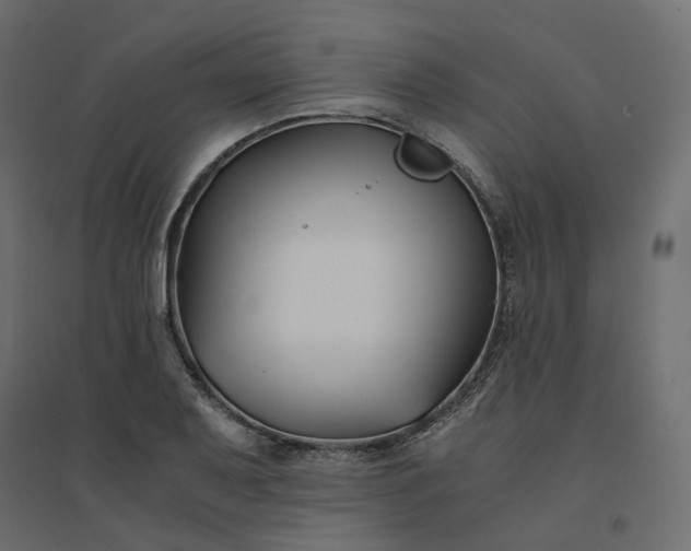 X0000094431079200711211427