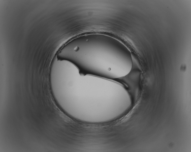 X0000094431081200711211427
