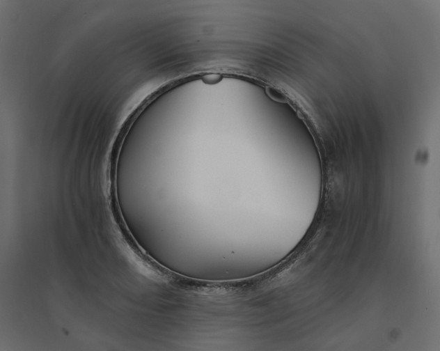 X0000094431082200711211427