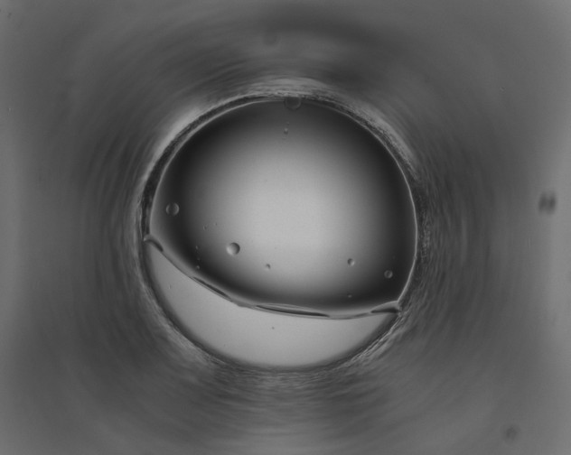 X0000094431083200711211427