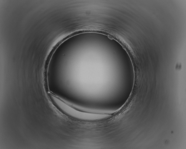 X0000094431085200711211427