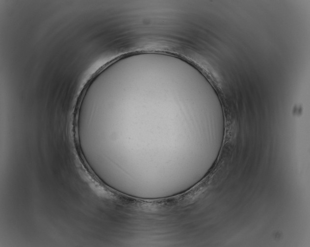 X0000094431086200711211427