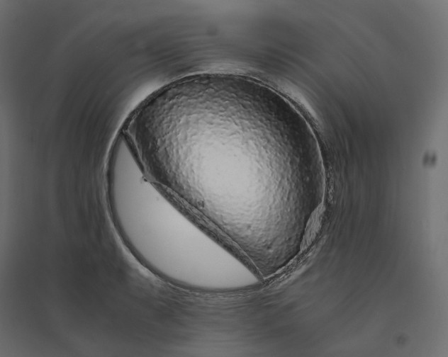 X0000094431087200711211427