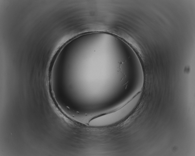 X0000094431088200711211427