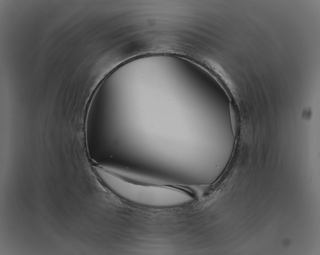 X0000094431089200711211427