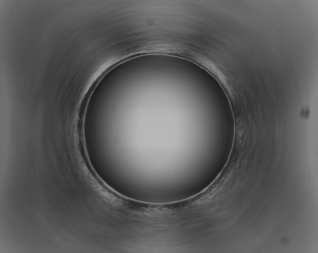 X0000094431091200711211427