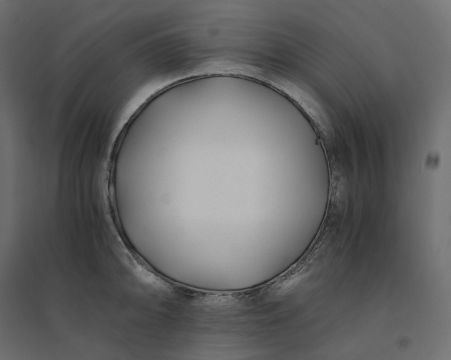 X0000094431094200711211427