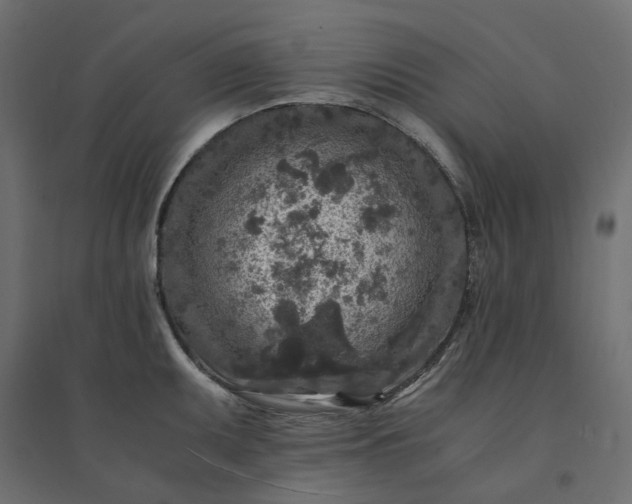 X0000094431095200711211427