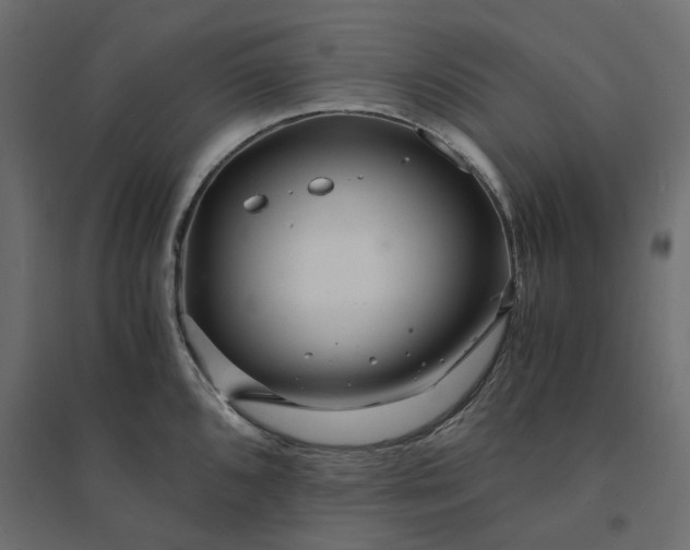 X0000094431096200711211427
