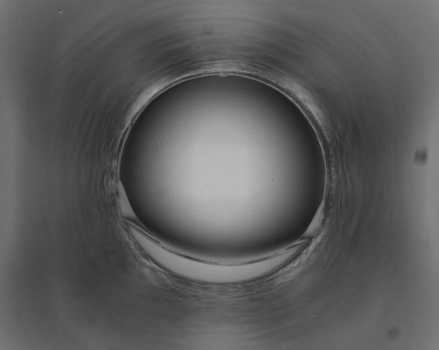 X0000094431097200711211427