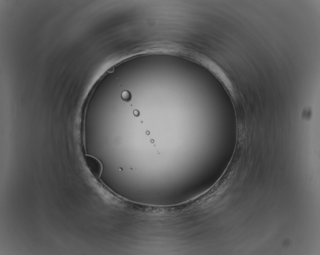 X0000094431099200711211427