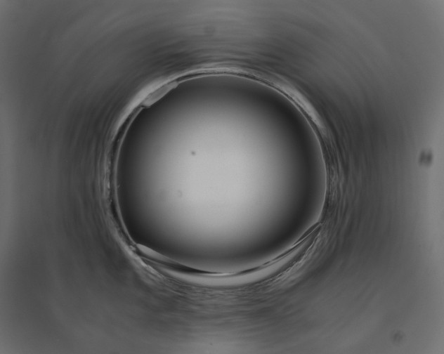 X0000094431101200711211427