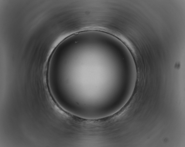 X0000094431102200711211427