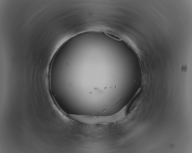 X0000094431103200711211427