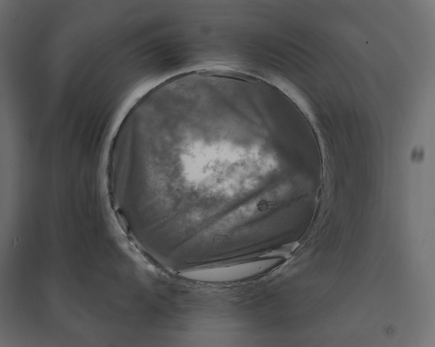 X0000094431104200711211427