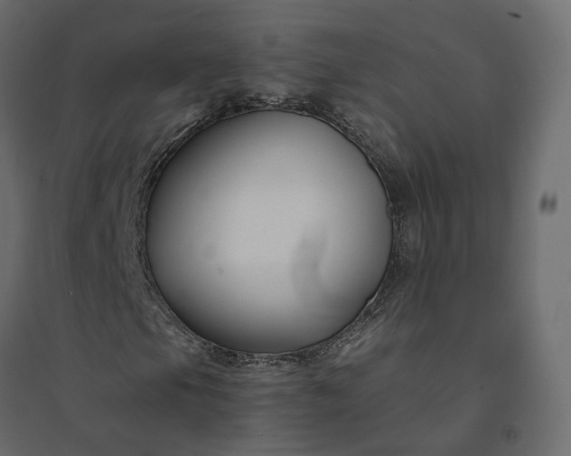 X0000094431105200711211426