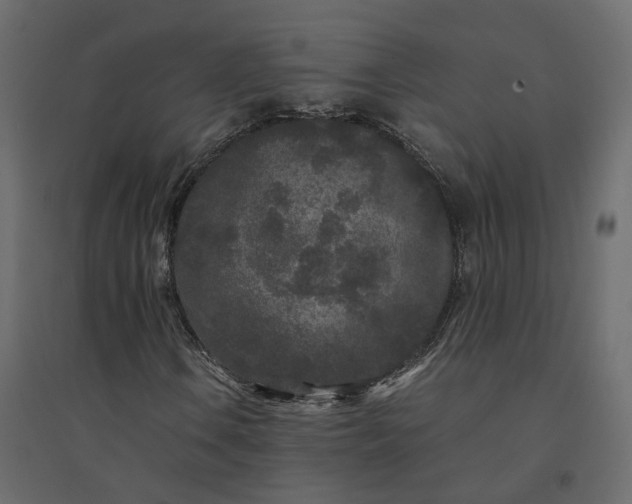 X0000094431106200711211426
