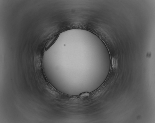 X0000094431107200711211426