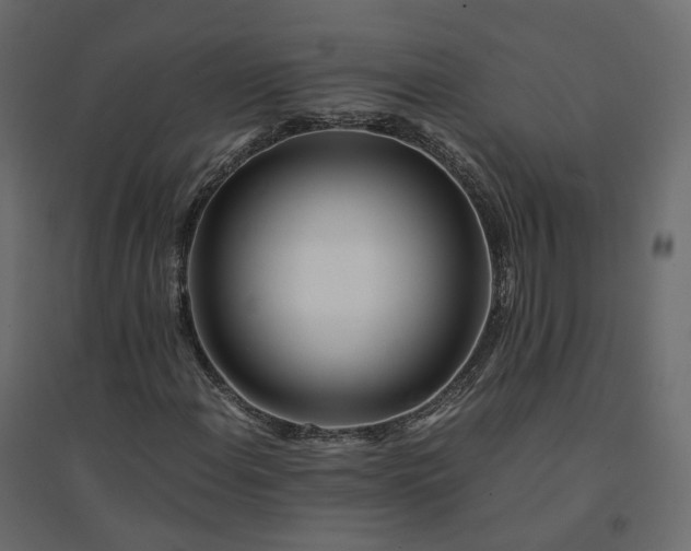 X0000094431108200711211426