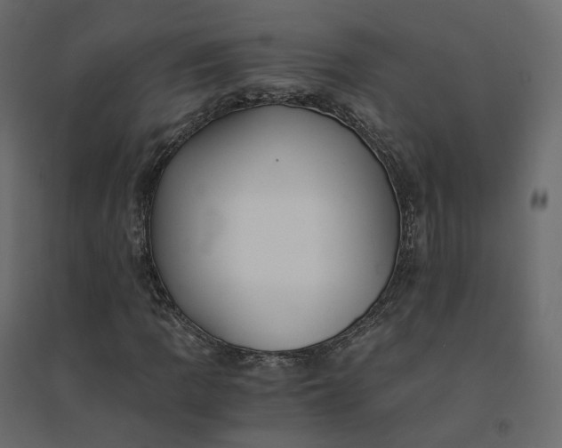 X0000094431109200711211426