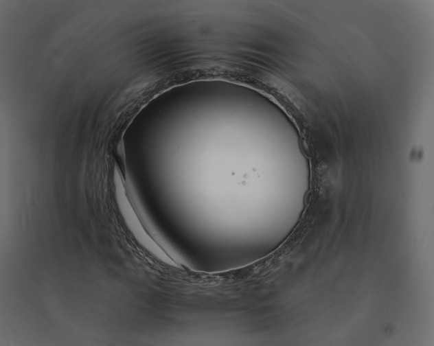 X0000094431111200711211426