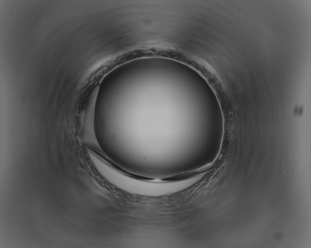 X0000094431112200711211426