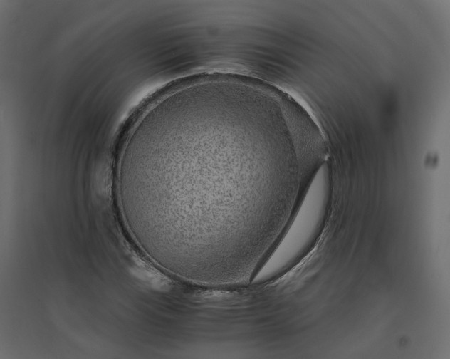 X0000094431115200711211426