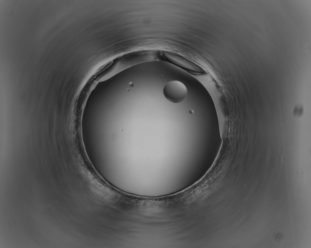 X0000094431116200711211426