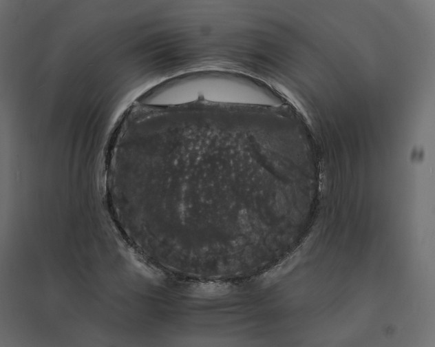 X0000094431117200711211426