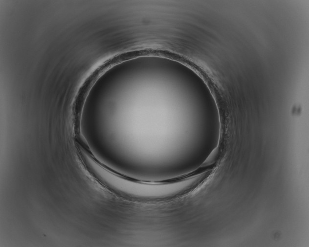 X0000094431118200711211426
