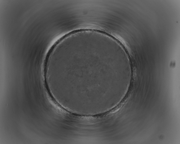 X0000094431120200711211426