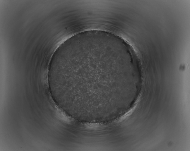 X0000094431121200711211426