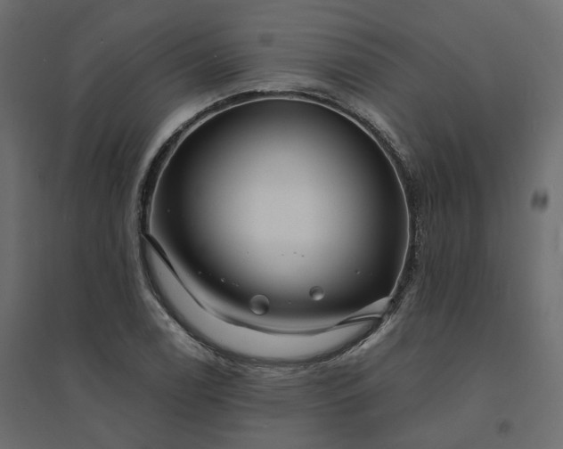 X0000094431122200711211427