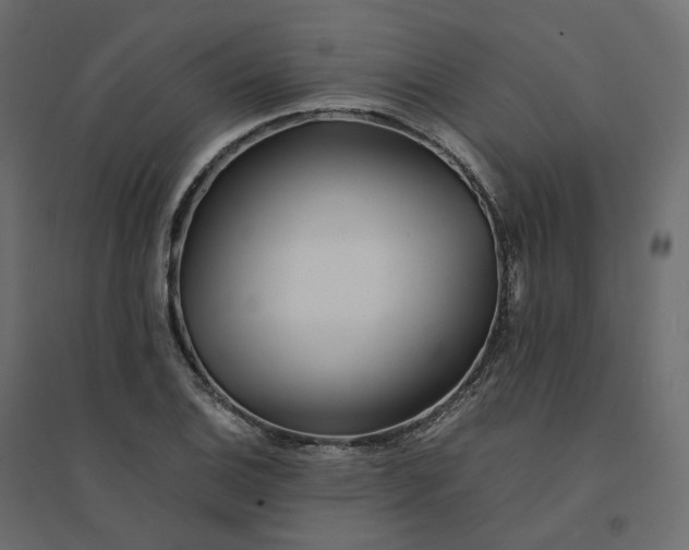 X0000094431124200711211427