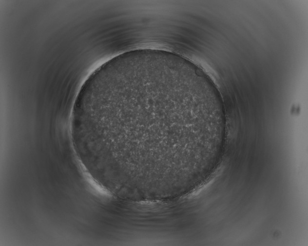X0000094431125200711211427
