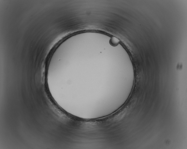 X0000094431126200711211427