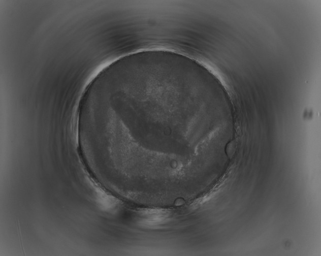 X0000094431127200711211427
